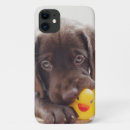Recherche de chocolat labrador iphone coques Chiot