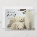 Recherche de grand ours vœux cartes Animal