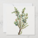 Recherche de décorations vintages de noël invitations Aquarelle