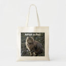Recherche de longs cheveux sacs Chats
