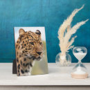 Recherche de visage plaques Animal