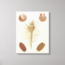 Recherche de cinq impressions sur toile Nature