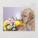 Recherche de odeurs cartes postales Chien