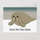 Recherche de otaries cartes postales Phoque