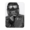 Recherche de gorilles magnets Singe