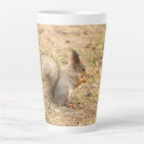 Recherche de écureuil mignon tasses Nature