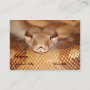Recherche de boa cartes visite Serpent