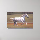 Recherche de dehors impressions sur toile Blanc