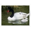 Recherche de interaction cartes postales Personne