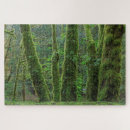 Recherche de fougère puzzles Forêt