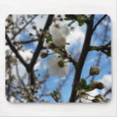 Recherche de arbres feuille tapis souris Blanc