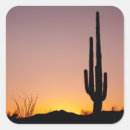 Recherche de saguaro autocollants L'arizona