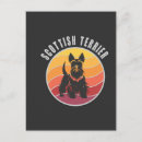 Recherche de scottish terrier cartes postales Chiens