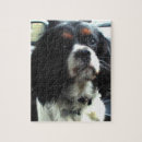 Recherche de cavalier puzzles Pour enfants