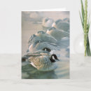 Recherche de oiseaux aquatiques vœux cartes Oies