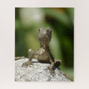 Recherche de lézard puzzles Nature