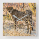Recherche de guépard horloges Animal
