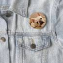 Recherche de domestic badges Animal