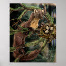 Recherche de forêt de pin posters Environnement