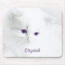 Recherche de chat doux tapis souris Animal