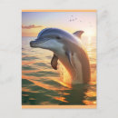Recherche de coucher soleil dauphin cartes invitations Océan