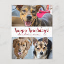 Recherche de drôle animal photos cartes postales Dogs