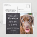 Recherche de personne de chien invitations Pour tous