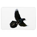 Recherche de ravenne magnets Corneille