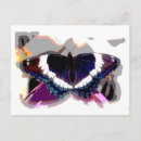 Recherche de papillon abstrait cartes postales Insecte