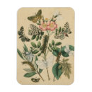 Recherche de studio magnets Fleurs