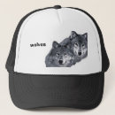 Recherche de loups gris casquettes Sauvage