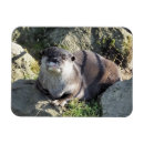 Recherche de loutre mignonne magnets Animaux