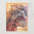 Recherche de avec chevaux cartes postales Mustang