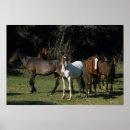 Recherche de mustang posters Groupe