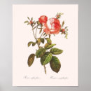 Recherche de cru floral posters Plante