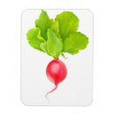 Recherche de radiateur magnets Légume