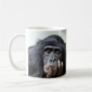 Recherche de monkeys tasses Muqueuse