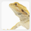 Recherche de tête dragon autocollants Reptile