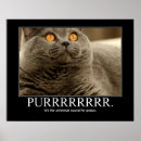 Recherche de chaton posters Illustration