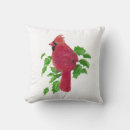 Recherche de cardinal bird Aquarelle