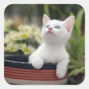 Recherche de personne de chat autocollants Chaton
