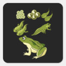 Recherche de cycle de vie autocollants Nature