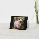 Recherche de abréviations vœux cartes Félin