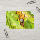 Recherche de escargots cartes visite Spirale