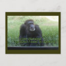 Recherche de raser cartes postales Humour