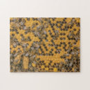 Recherche de ruche puzzles Miel