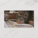 Recherche de chimpanzé cartes visite Singe