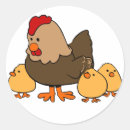 Recherche de poussins autocollants Poulet