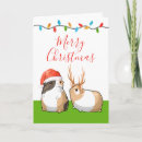 Recherche de guinea pig Noël