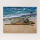 Recherche de turtle puzzles Honu